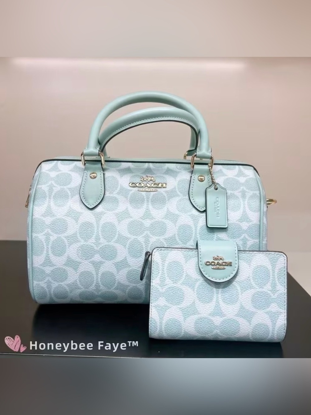 NWT Coach Rowan Satchel Bag & Matching Wallet Set – Light Blue Signature Canvas
